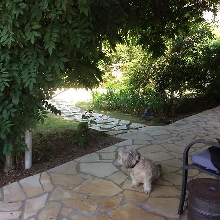 Bed and Breakfast Chez Uli Angresse Екстер'єр фото